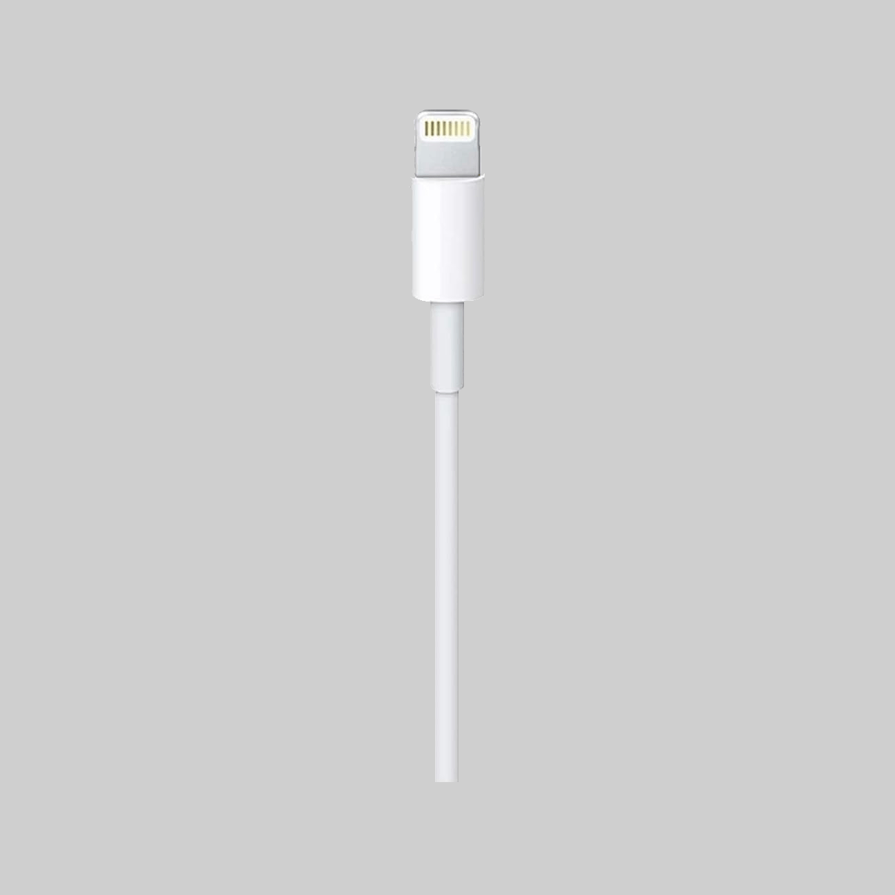 Lightning to USB-C Cable