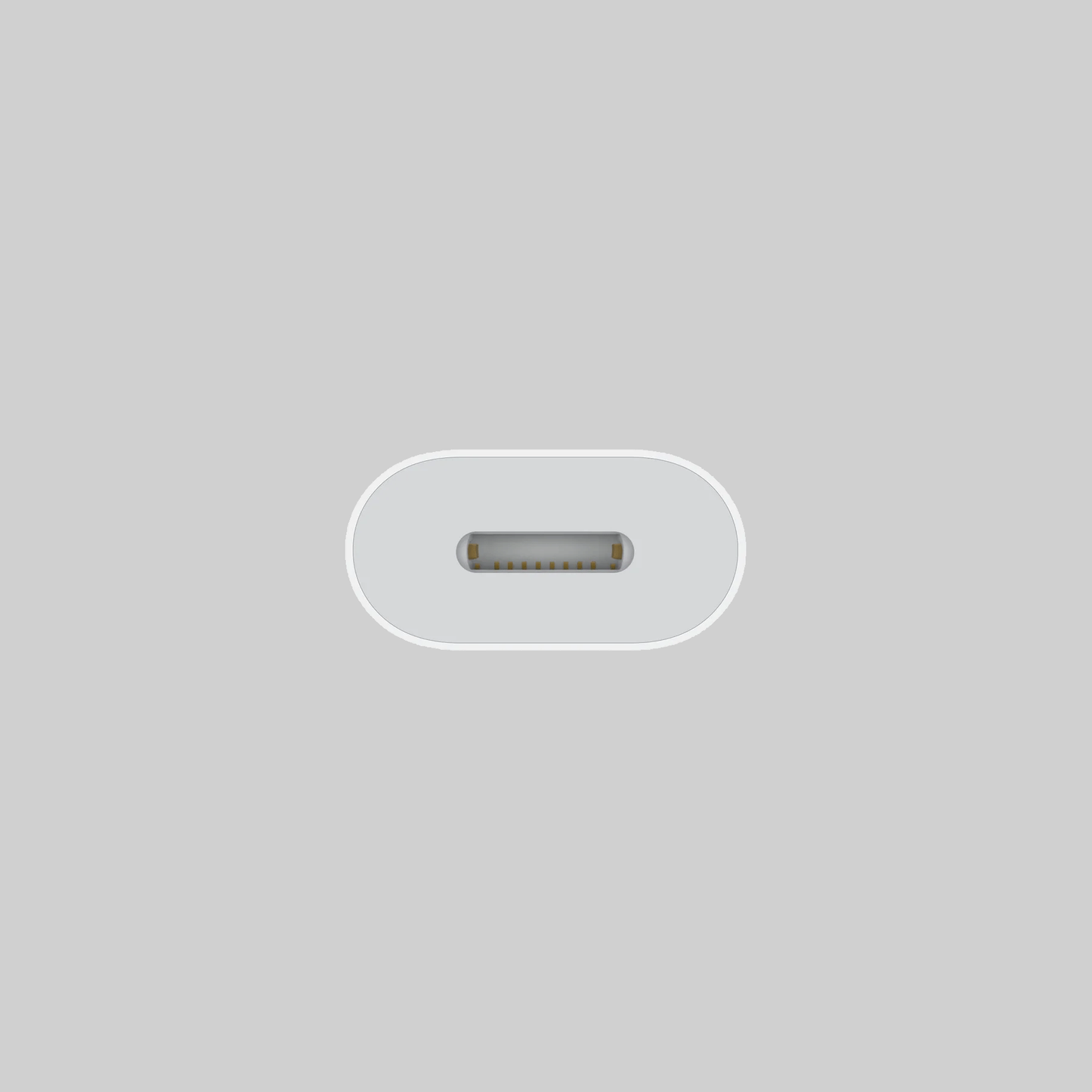 Apple Accs USB-C to Lightning Adapter