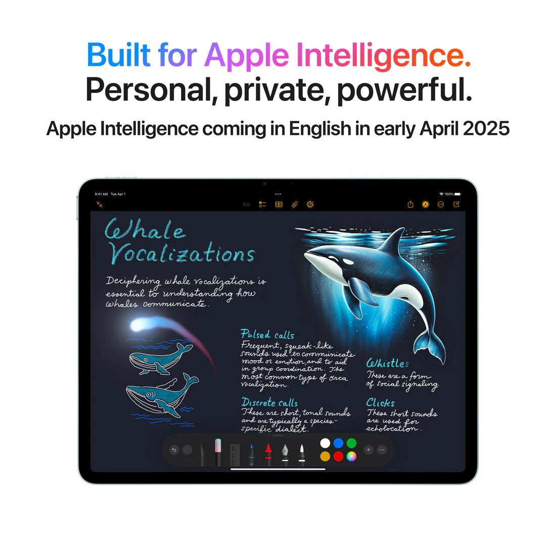 iPad Air 11" M3