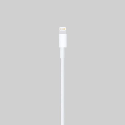 Lightning to USB-C Cable