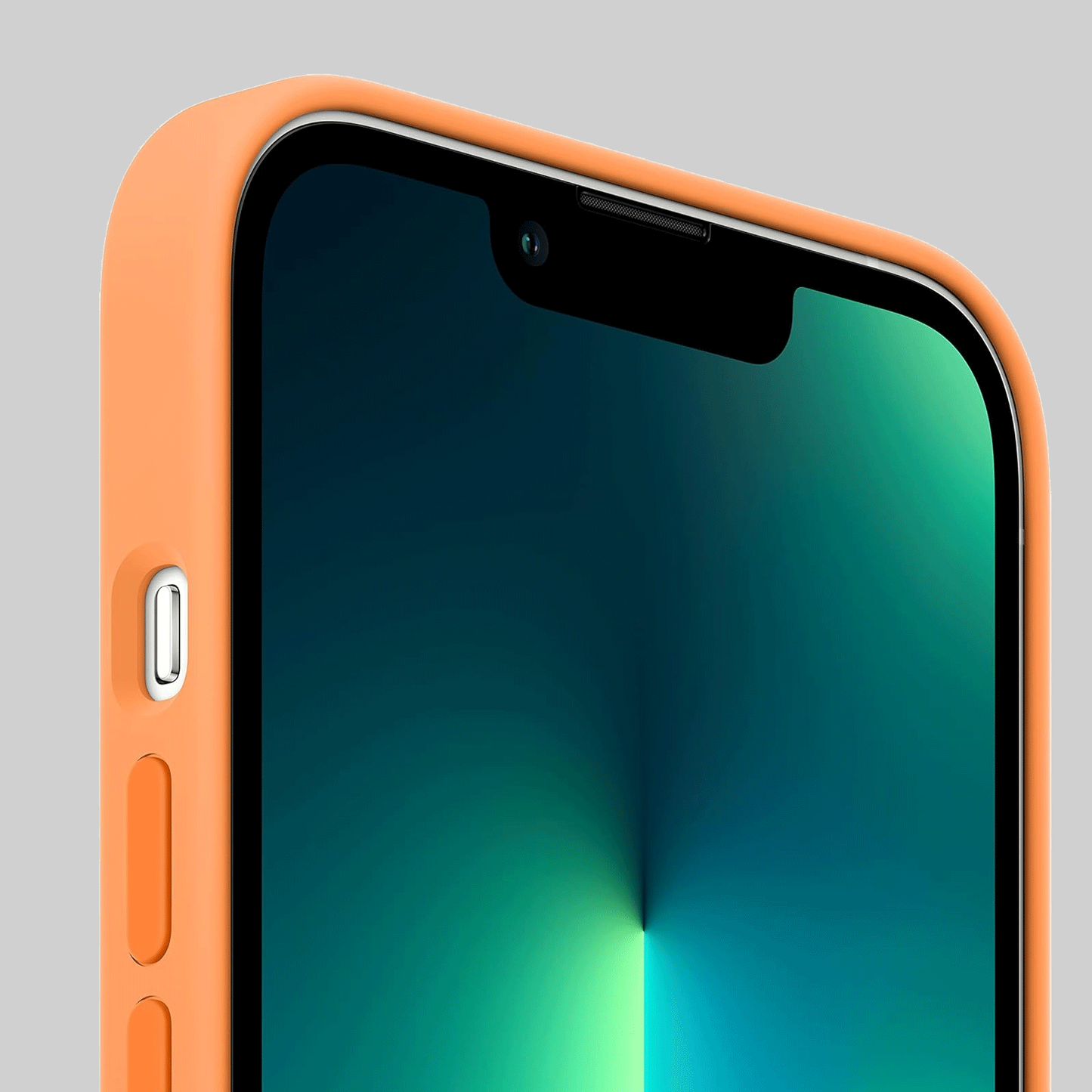 iPhone 13 Pro Silicone Case